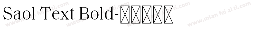 Saol Text Bold字体转换